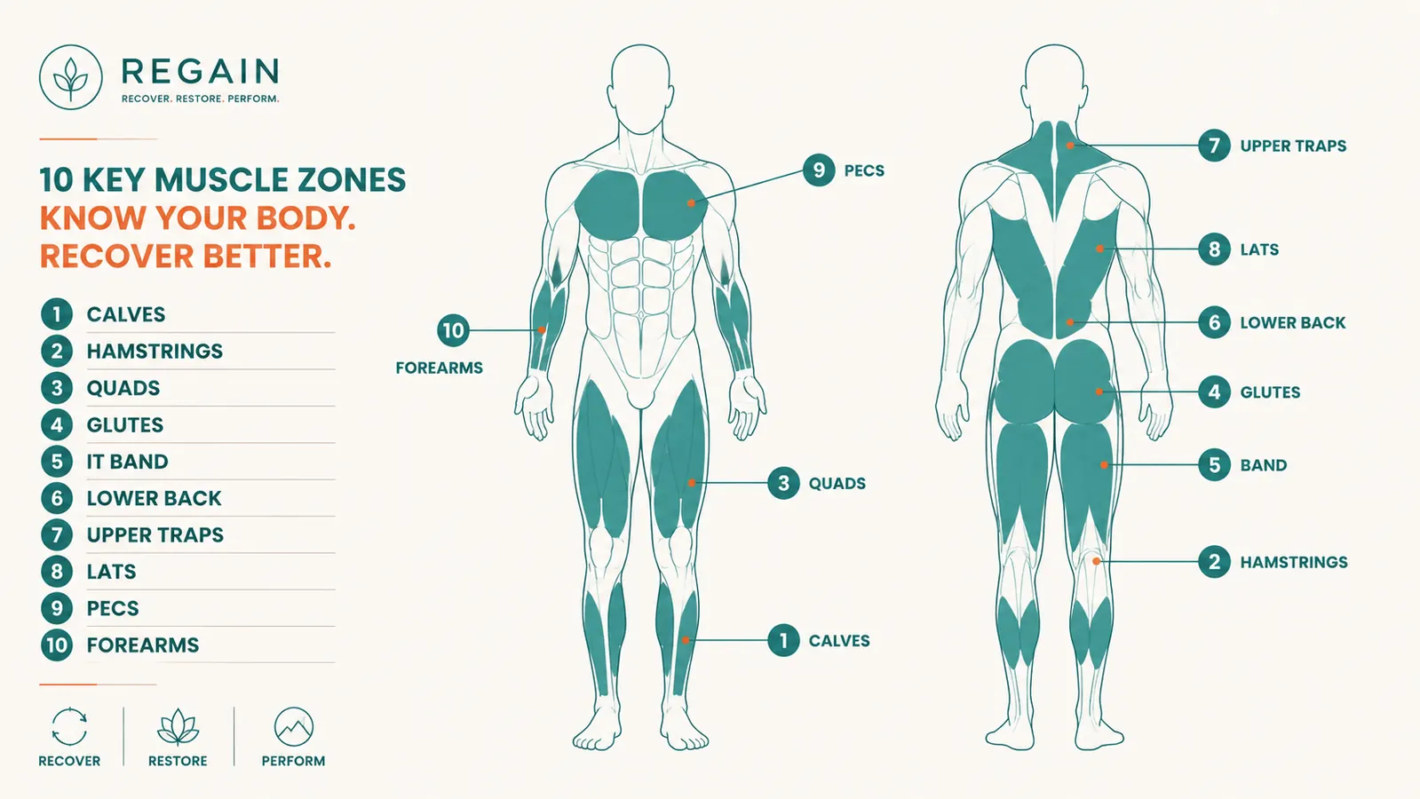 Diagram showing front and back muscle map of the human body with 10 recovery zones highlighted