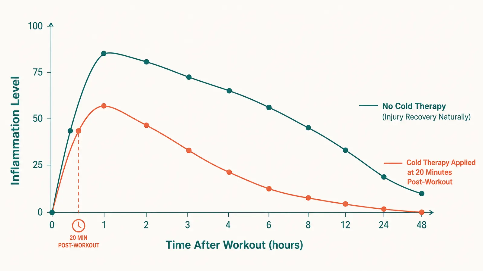 Chart showing the inflammation response timeline after a workout compared to cold therapy application at 20 minutes versus 60 minutes post-exercise