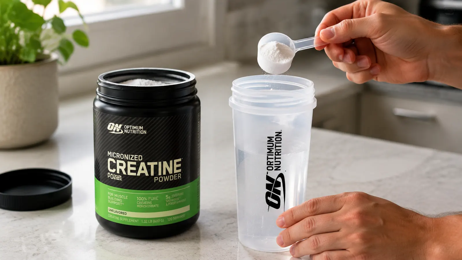 Hand scooping white creatine powder from a gold and white Optimum Nutrition tub into a shaker bottle